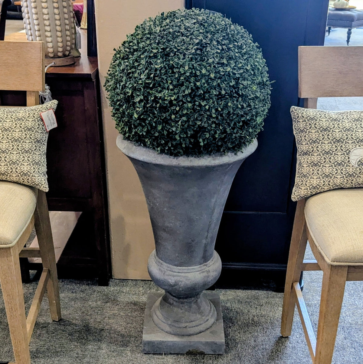 PLANT