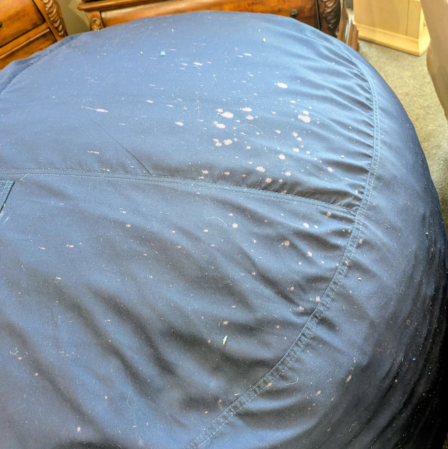 LOVESAC CO MISC